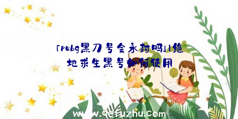 「pubg黑刀号会永封吗」|绝地求生黑号如何使用